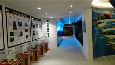 500平米展厅设计制作：现代/绿色，教育类展厅-桂林植物园科普展厅（免费使用）